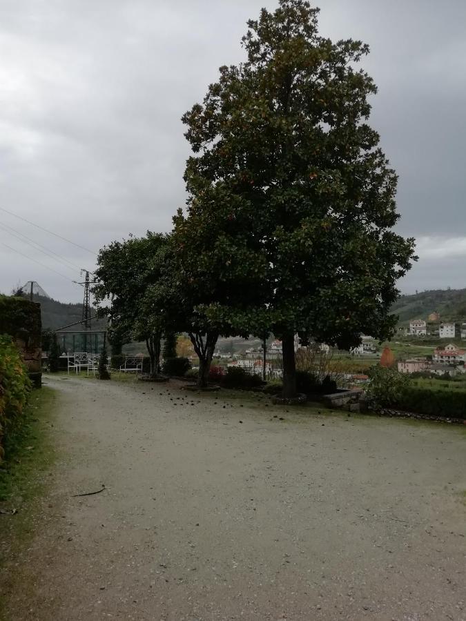 Quinta Da Tapada Βίλα Avô Εξωτερικό φωτογραφία