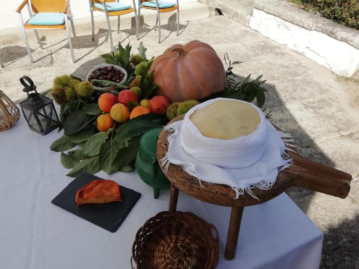 Quinta Da Tapada Βίλα Avô Εξωτερικό φωτογραφία