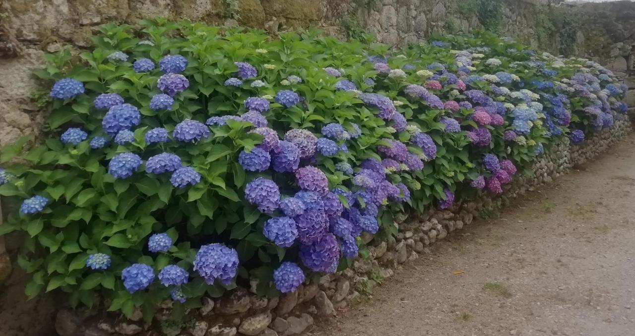 Quinta Da Tapada Βίλα Avô Εξωτερικό φωτογραφία
